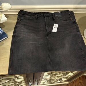 Express skirt